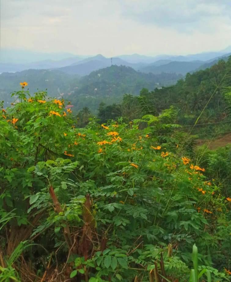 Kandy Ivy Mountain View Resort 외부 사진