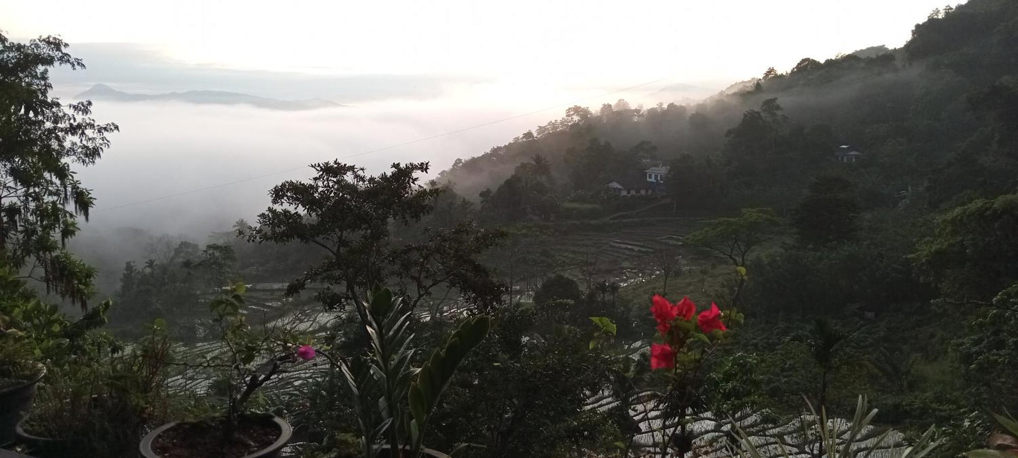 Kandy Ivy Mountain View Resort 객실 사진
