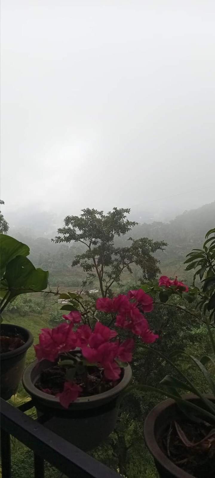 Kandy Ivy Mountain View Resort 외부 사진