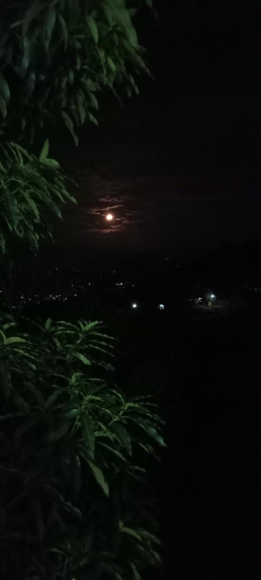 Kandy Ivy Mountain View Resort 객실 사진